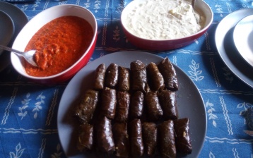 Dolmades – Involtini di foglie di vite