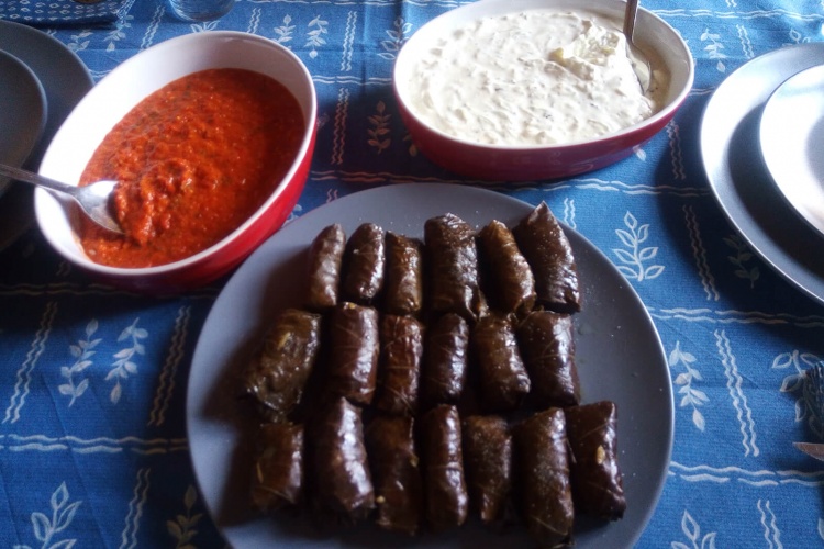 Dolmades – Involtini di foglie di vite